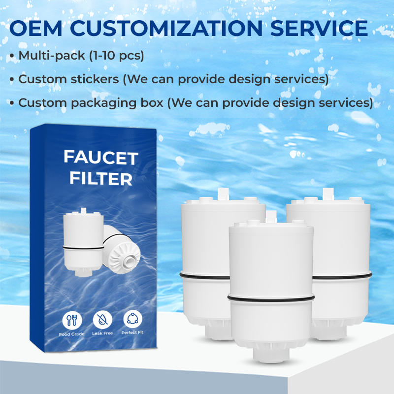 30RF01/RF-9999 Faucet Water Filter Replacement