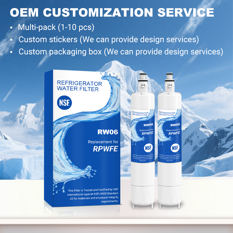 RW06/RPWFE Refrigerator Water Filter Replacement