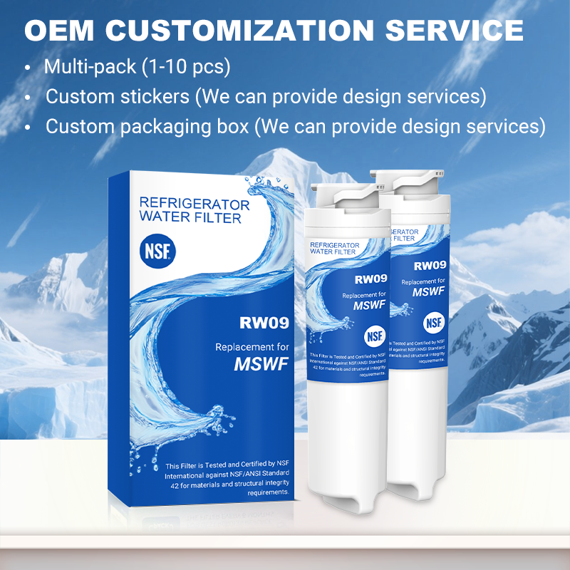 RW09/MSWF Refrigerator Water Filter Replacement