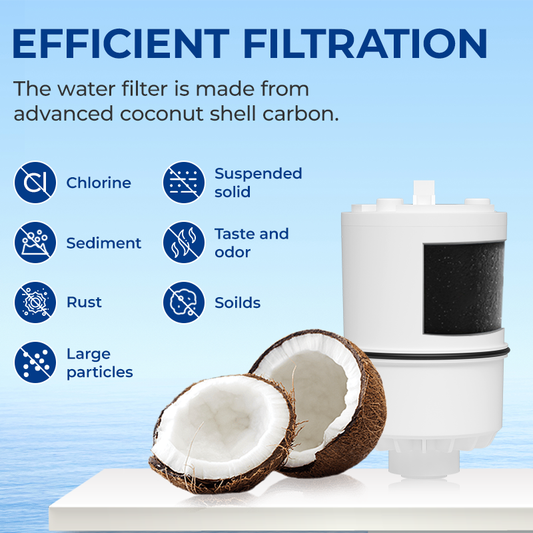 30RF01/RF-9999 Faucet Water Filter Replacement