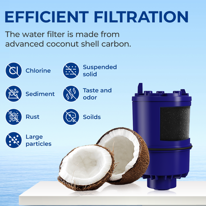 30RF01/RF-9999 Faucet Water Filter Replacement