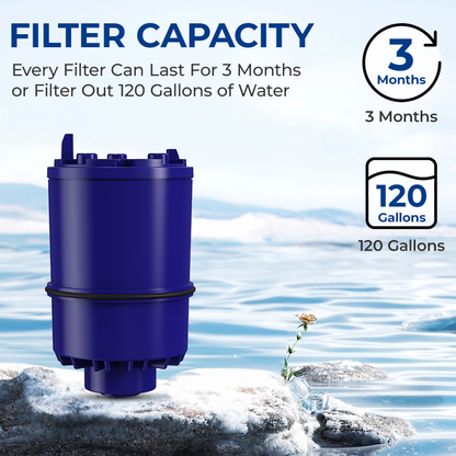 30RF01/RF-9999 Faucet Water Filter Replacement