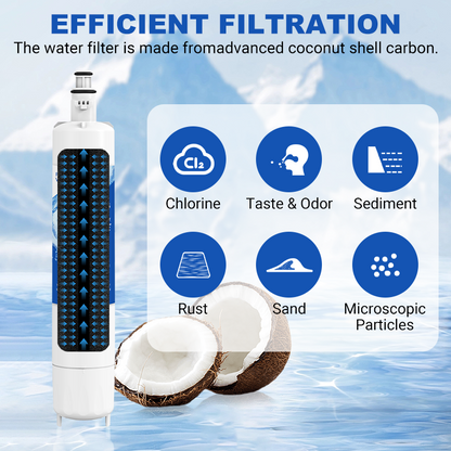 RW06/RPWFE Refrigerator Water Filter Replacement