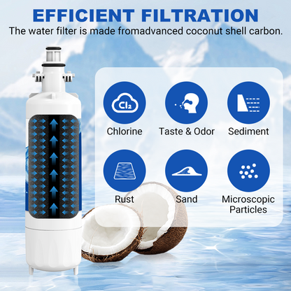 RW05/LT700P Refrigerator Water Filter Replacement