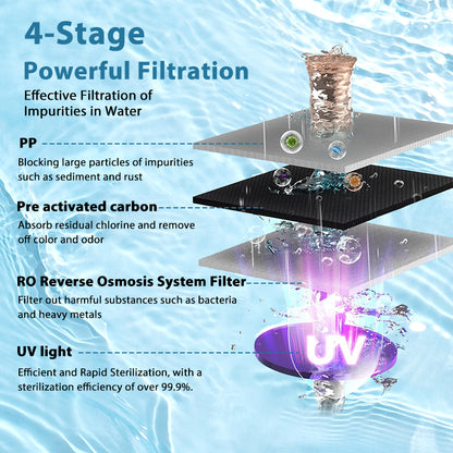 CT2 Cold and Hot Water Reverse Osmosis Countertop Water Purifier Dispenser