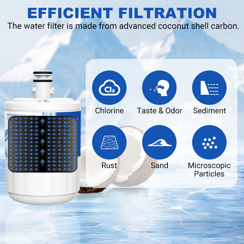 RW17/LT500P Refrigerator Water Filter Replacement