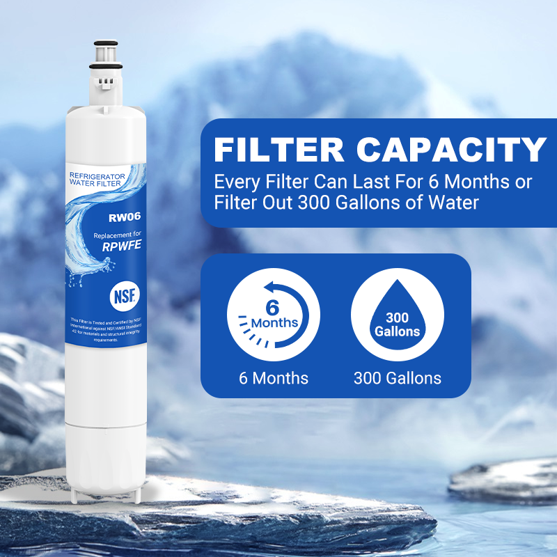 RW06/RPWFE Refrigerator Water Filter Replacement