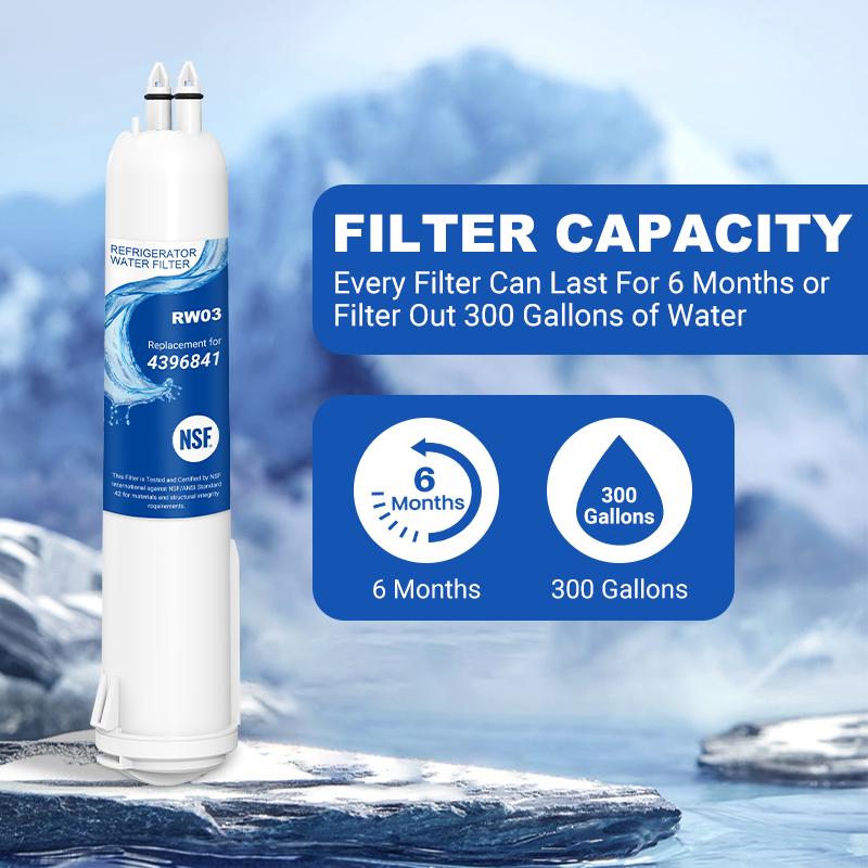 RW03/4396841 Refrigerator Water Filter Replacement