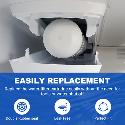 RW15/LT1000P Refrigerator Water Filter Replacement