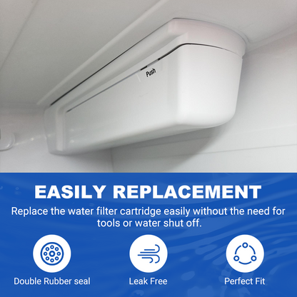 RW10/LT800P Refrigerator Water Filter Replacement
