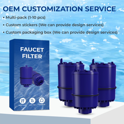 30RF01/RF-9999 Faucet Water Filter Replacement