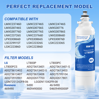 RW10/LT800P Refrigerator Water Filter Replacement