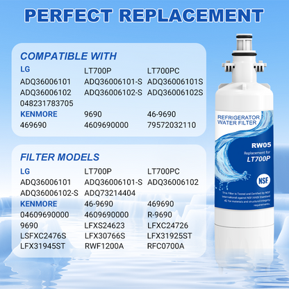 RW05/LT700P Refrigerator Water Filter Replacement