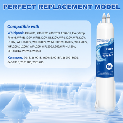 RW16/4396701 Refrigerator Water Filter Replacement
