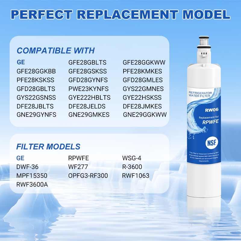RW06/RPWFE Refrigerator Water Filter Replacement