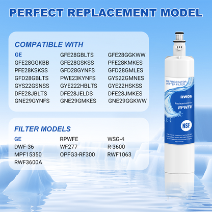 RW06/RPWFE Refrigerator Water Filter Replacement