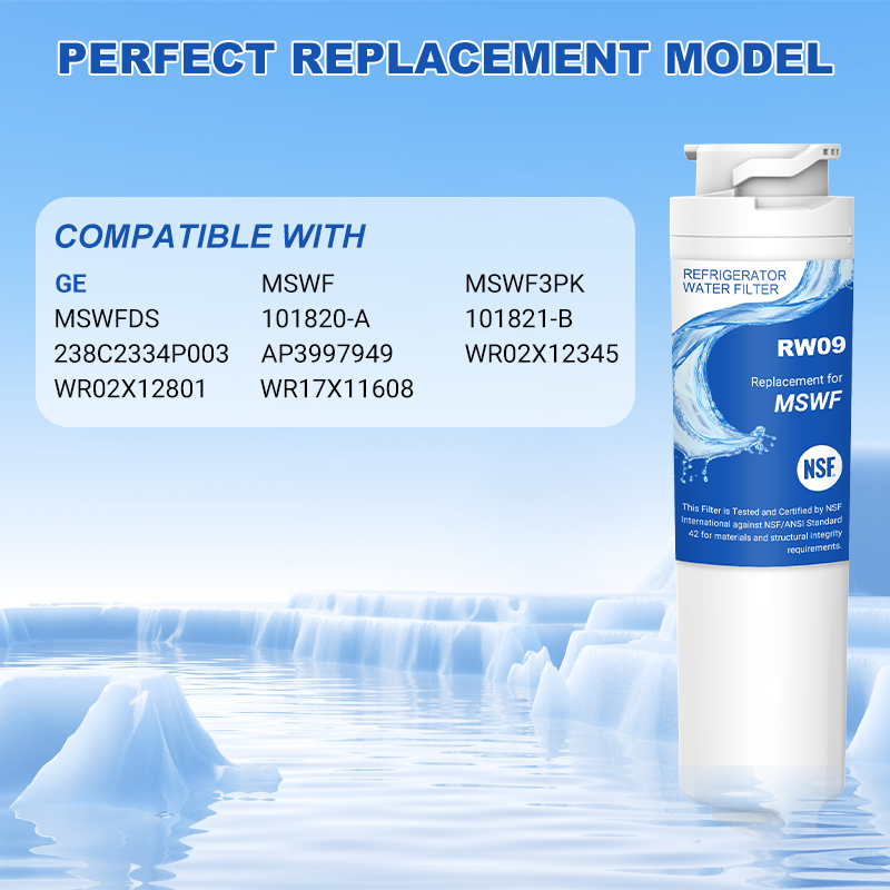 RW09/MSWF Refrigerator Water Filter Replacement