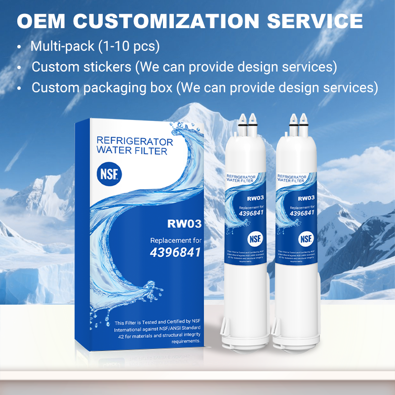 RW03/4396841 Refrigerator Water Filter Replacement