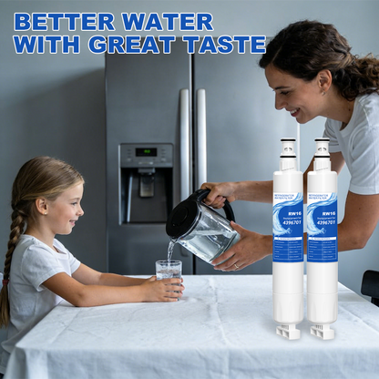 RW16/4396701 Refrigerator Water Filter Replacement