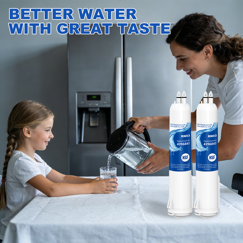 RW03/4396841 Refrigerator Water Filter Replacement