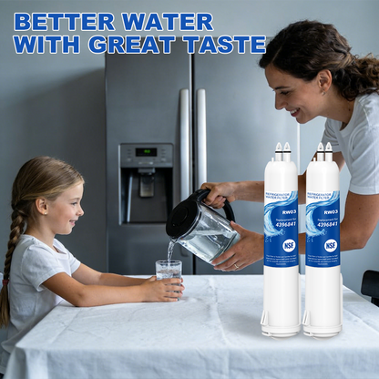 RW03/4396841 Refrigerator Water Filter Replacement