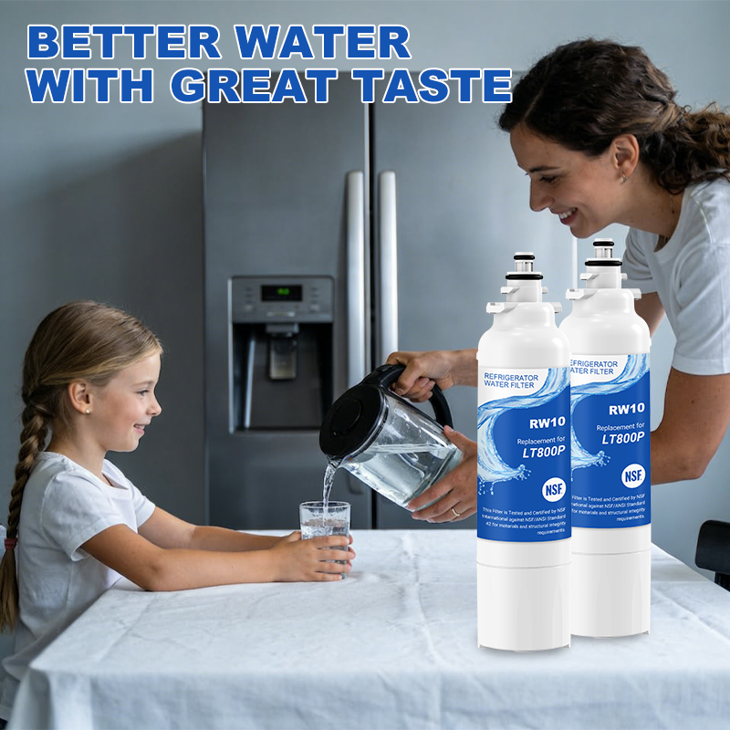 RW10/LT800P Refrigerator Water Filter Replacement