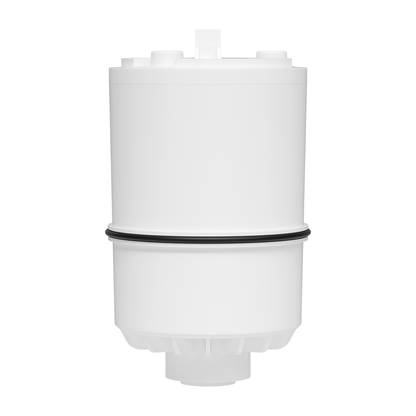 30RF01/RF-9999 Faucet Water Filter Replacement